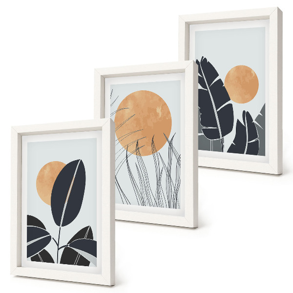 Lot de 3 tableaux Motifs végétaux avec de grands soleils, style minimaliste