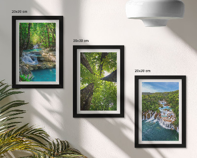Ensemble de 3 tableaux Cascades dans une forêt verdoyante aux eaux cristallines