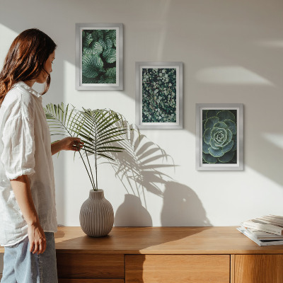 Ensemble de 3 tableaux Plantes vertes à feuilles et succulentes élégantes