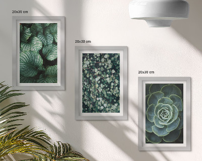 Ensemble de 3 tableaux Plantes vertes à feuilles et succulentes élégantes