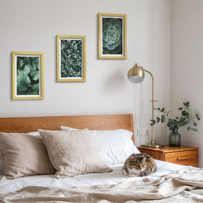 Ensemble de 3 tableaux Plantes vertes à feuilles et succulentes élégantes