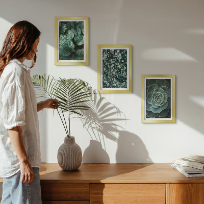Ensemble de 3 tableaux Plantes vertes à feuilles et succulentes élégantes