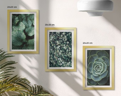Ensemble de 3 tableaux Plantes vertes à feuilles et succulentes élégantes