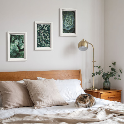 Ensemble de 3 tableaux Plantes vertes à feuilles et succulentes élégantes