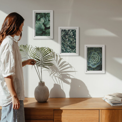 Ensemble de 3 tableaux Plantes vertes à feuilles et succulentes élégantes
