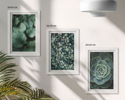 Ensemble de 3 tableaux Plantes vertes à feuilles et succulentes élégantes
