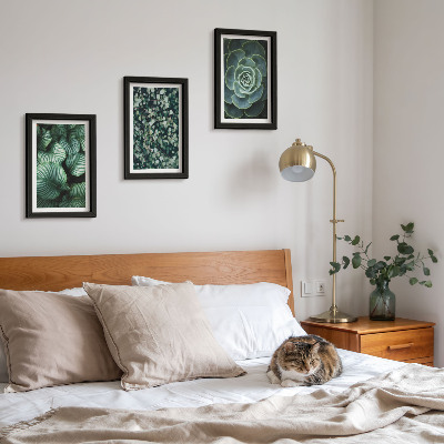 Ensemble de 3 tableaux Plantes vertes à feuilles et succulentes élégantes