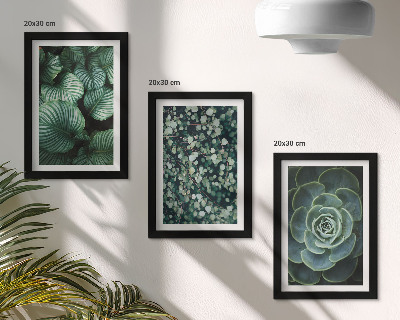 Ensemble de 3 tableaux Plantes vertes à feuilles et succulentes élégantes
