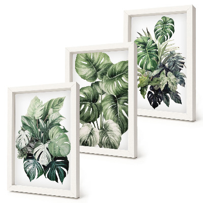 Mur de cadres Aquarelles de feuilles vertes de plantes tropicales