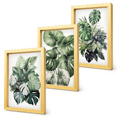 Mur de cadres Aquarelles de feuilles vertes de plantes tropicales