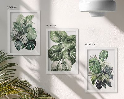 Mur de cadres Aquarelles de feuilles vertes de plantes tropicales