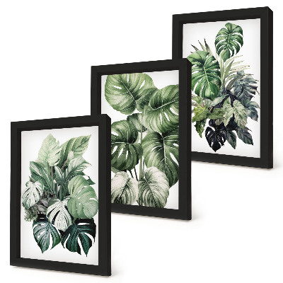 Mur de cadres Aquarelles de feuilles vertes de plantes tropicales