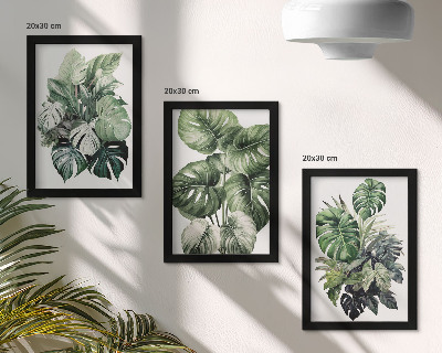 Mur de cadres Aquarelles de feuilles vertes de plantes tropicales