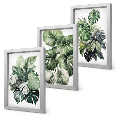 Mur de cadres Aquarelles de feuilles vertes de plantes tropicales