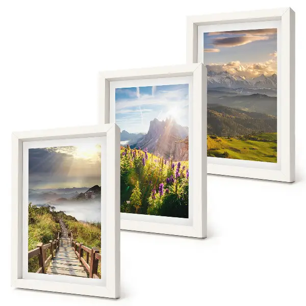 Ensemble de 3 tableaux représentant des paysages de montagne avec des fleurs, un ciel et un chemin