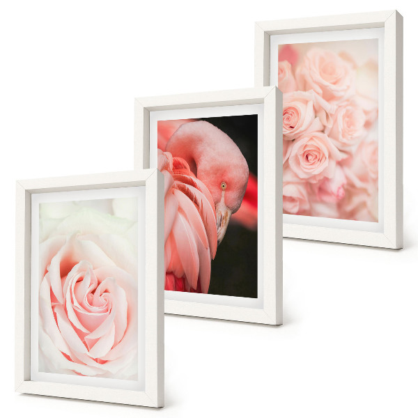 Ensemble de 3 tableaux Rose pastel et flamant rose dans des nuances délicates