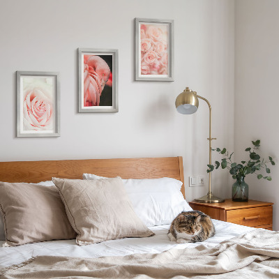 Ensemble de 3 tableaux Rose pastel et flamant rose dans des nuances délicates