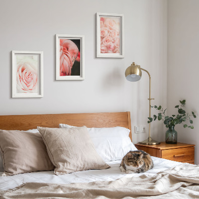 Ensemble de 3 tableaux Rose pastel et flamant rose dans des nuances délicates