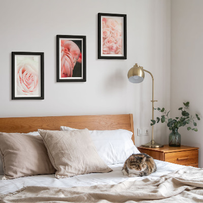 Ensemble de 3 tableaux Rose pastel et flamant rose dans des nuances délicates