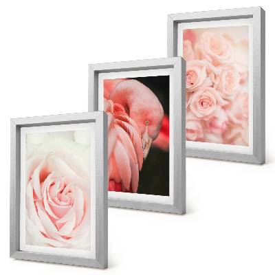 Ensemble de 3 tableaux Rose pastel et flamant rose dans des nuances délicates