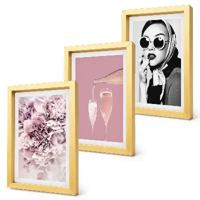 Lot de 3 tableaux représentant des fleurs dans les tons roses et une femme élégante