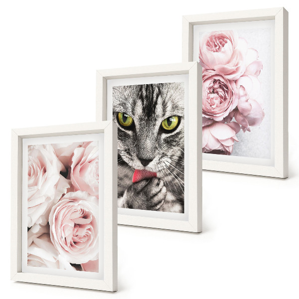 Lot de 3 tableaux Un chat parmi des roses et des pivoines roses