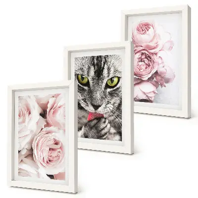 Tableaux chat parmi des roses et des pivoines lot de 3 pièces