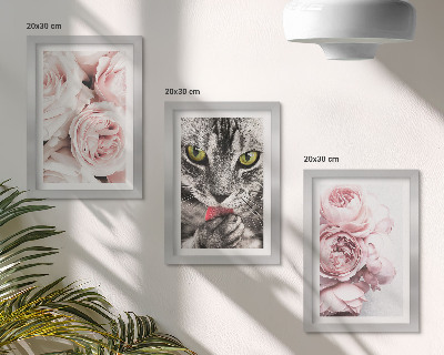 Lot de 3 tableaux Un chat parmi des roses et des pivoines roses
