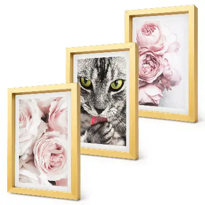 Tableaux chat parmi des roses et des pivoines lot de 3 pièces