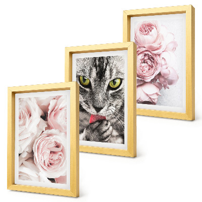 Lot de 3 tableaux Un chat parmi des roses et des pivoines roses