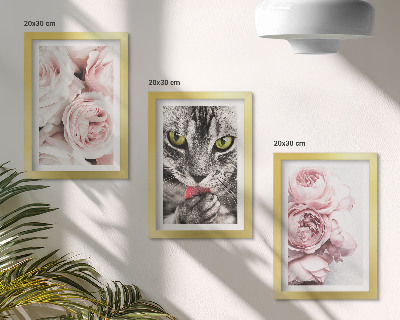 Lot de 3 tableaux Un chat parmi des roses et des pivoines roses