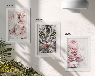 Lot de 3 tableaux Un chat parmi des roses et des pivoines roses