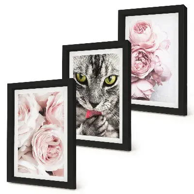 Tableaux chat parmi des roses et des pivoines lot de 3 pièces