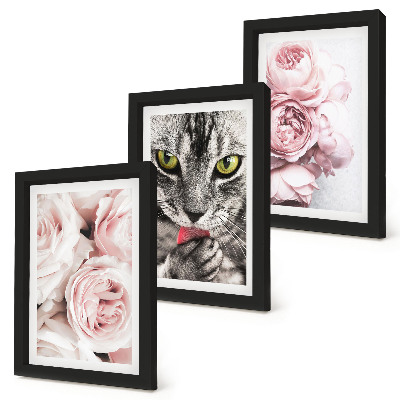 Lot de 3 tableaux Un chat parmi des roses et des pivoines roses