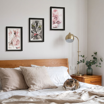 Lot de 3 tableaux Un chat parmi des roses et des pivoines roses