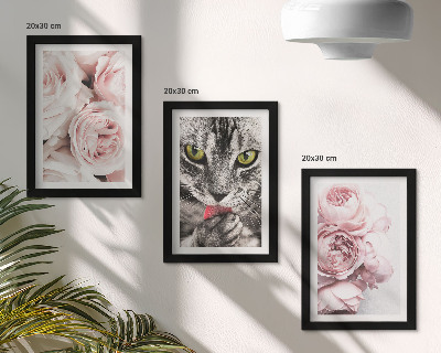 Lot de 3 tableaux Un chat parmi des roses et des pivoines roses