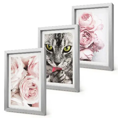 Tableaux chat parmi des roses et des pivoines lot de 3 pièces