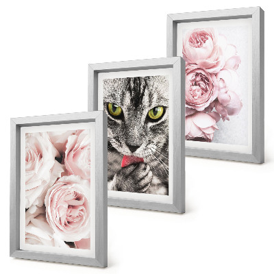 Lot de 3 tableaux Un chat parmi des roses et des pivoines roses
