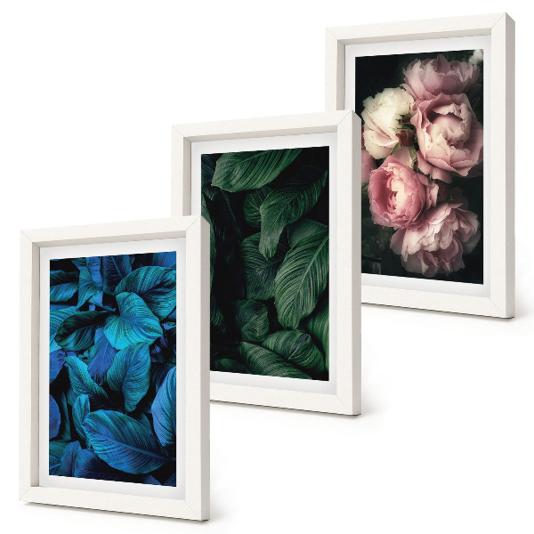 Mur de cadres Feuilles et fleurs de différentes couleurs