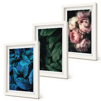 Mur de cadres Feuilles et fleurs de différentes couleurs