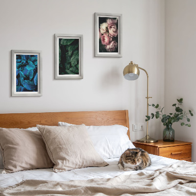 Mur de cadres Feuilles et fleurs de différentes couleurs