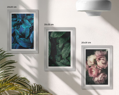 Mur de cadres Feuilles et fleurs de différentes couleurs