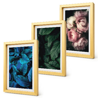 Mur de cadres Feuilles et fleurs de différentes couleurs