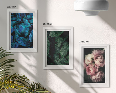 Mur de cadres Feuilles et fleurs de différentes couleurs
