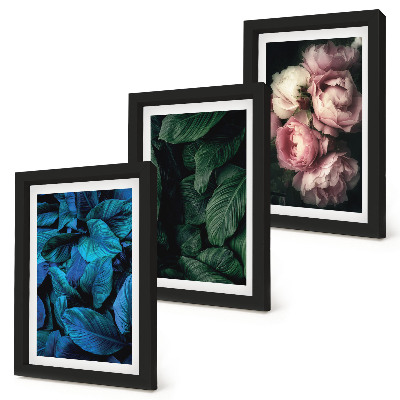 Mur de cadres Feuilles et fleurs de différentes couleurs
