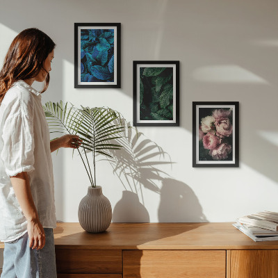 Mur de cadres Feuilles et fleurs de différentes couleurs