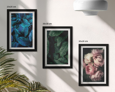 Mur de cadres Feuilles et fleurs de différentes couleurs