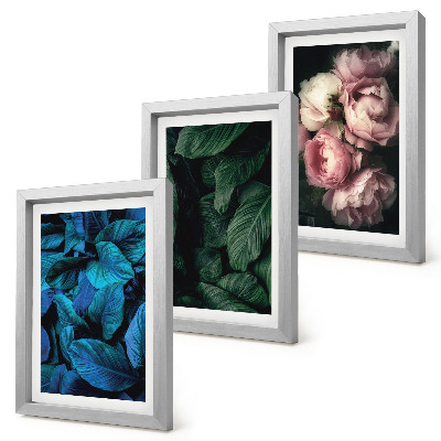Mur de cadres Feuilles et fleurs de différentes couleurs