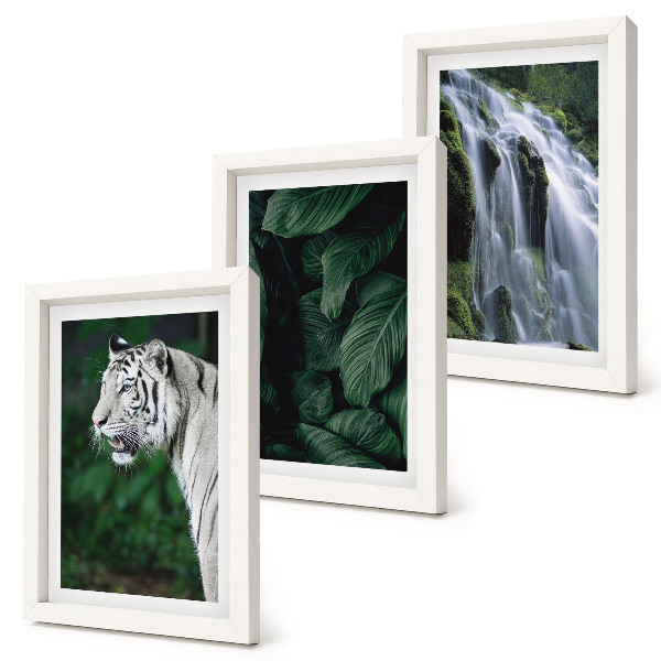 Lot de 3 tableaux Feuilles de tigre blanc et cascade dans un environnement naturel