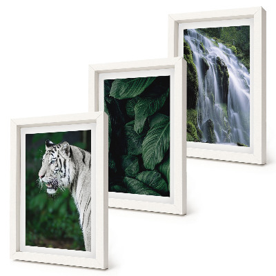 Lot de 3 tableaux Feuilles de tigre blanc et cascade dans un environnement naturel